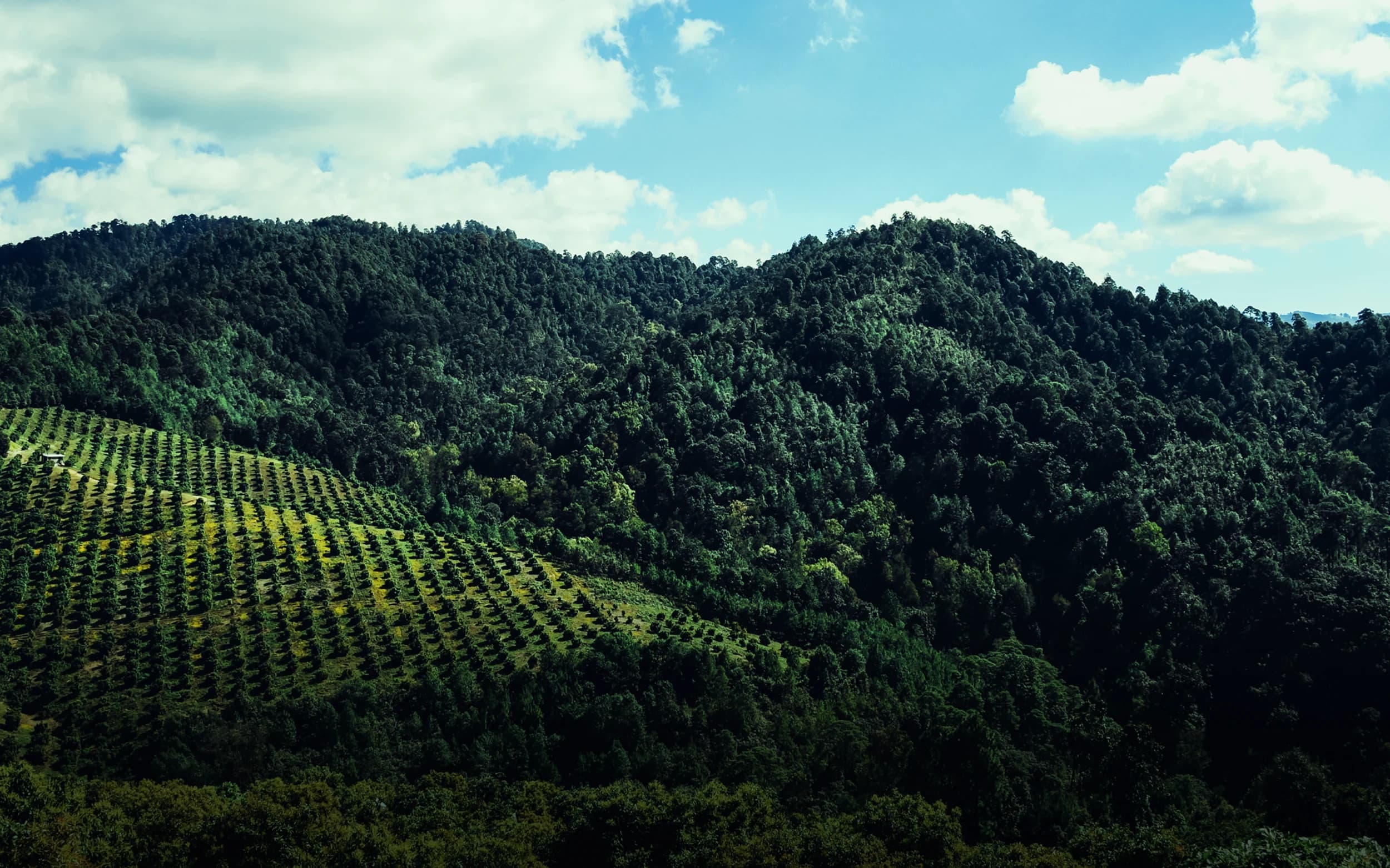 Lush green mountains with dense forest covering the slopes under a partly cloudy sky.